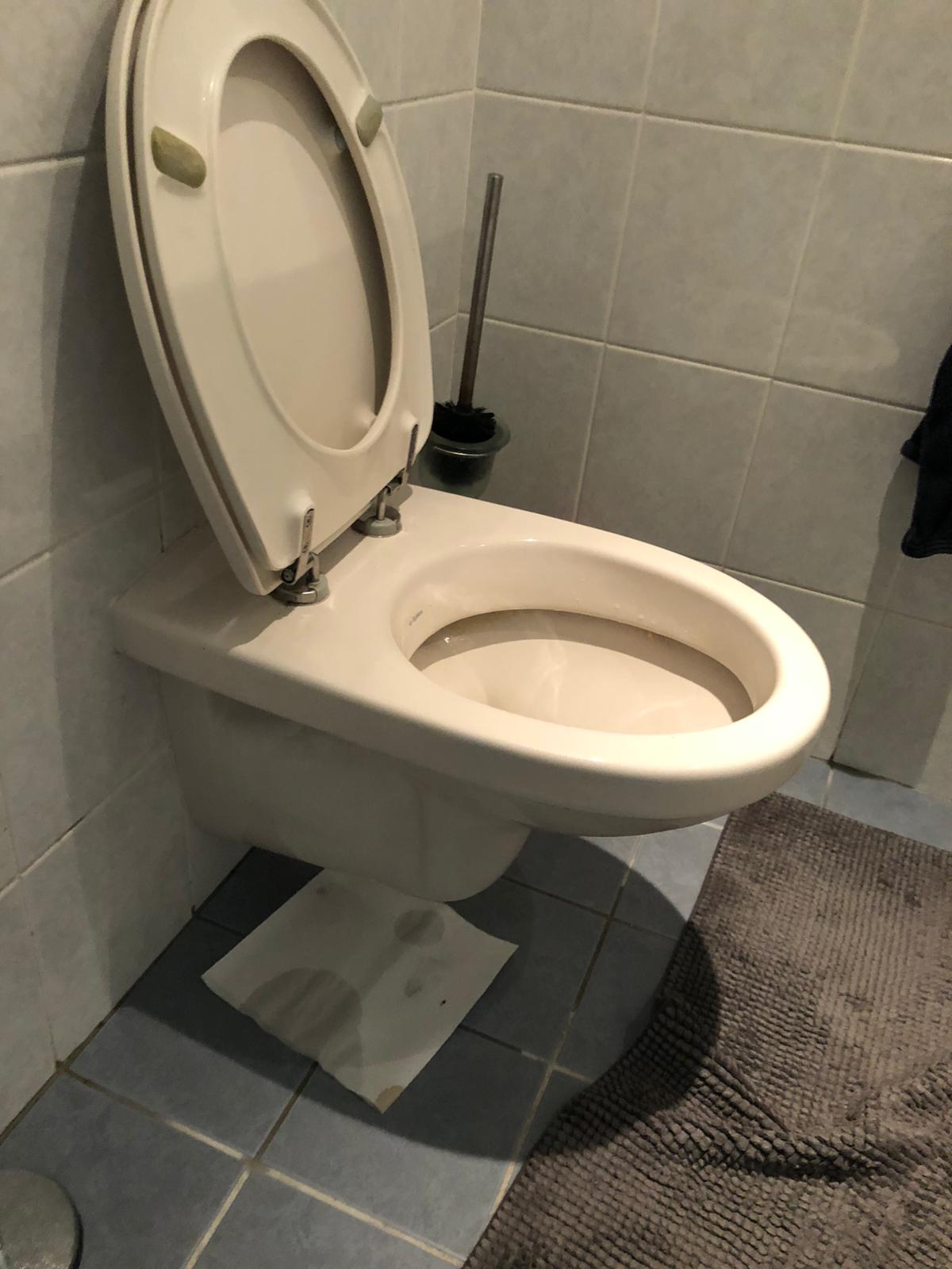 hangtoilet Monnickendam